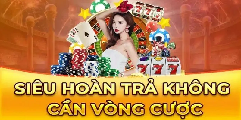 Giải thích rõ khái niệm hoàn trả cược tại Letou