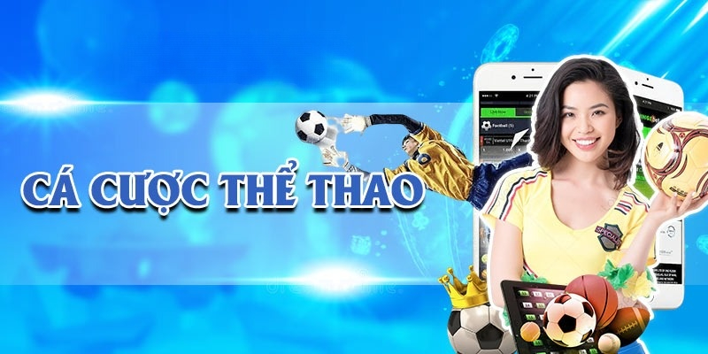 Giao diện chính chuyên nghiệp tại sảnh cá cược thể thao Letou