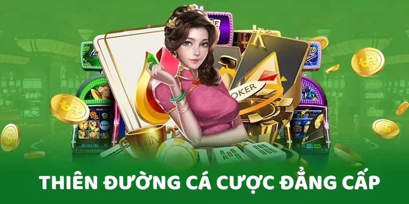 Tình hình pháp lý về Letou có hợp pháp ở Việt Nam không