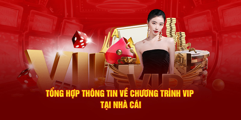 Các cấp độ VIP Letou với phần thưởng giá trị 